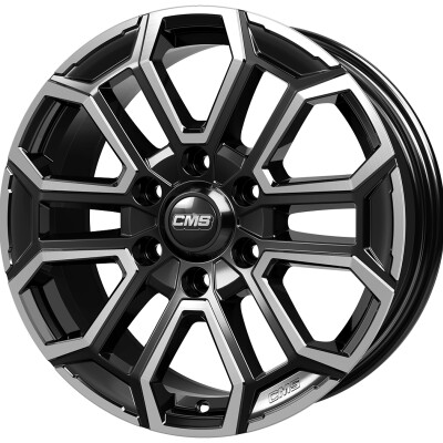 CMS C35