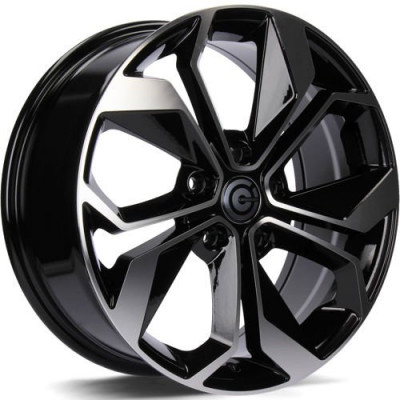 Carbonado Raptor