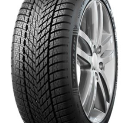 DUNLOP WINTER