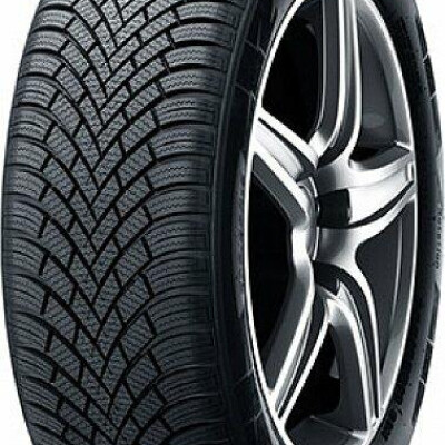 NEXEN WINGUARD SNOW G 3 (WH21)