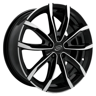 MIM Evo001