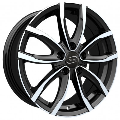 MIM Evo001