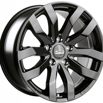 CMS C22 CBG