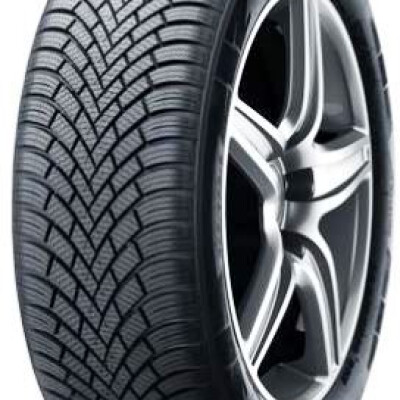 NEXEN Winguard Snow G3 WH21